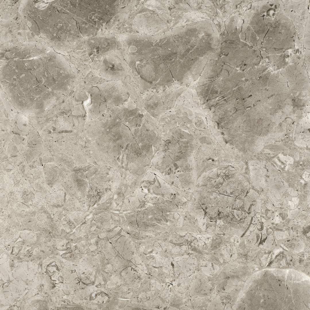 Grigio Levanto polished marble slab