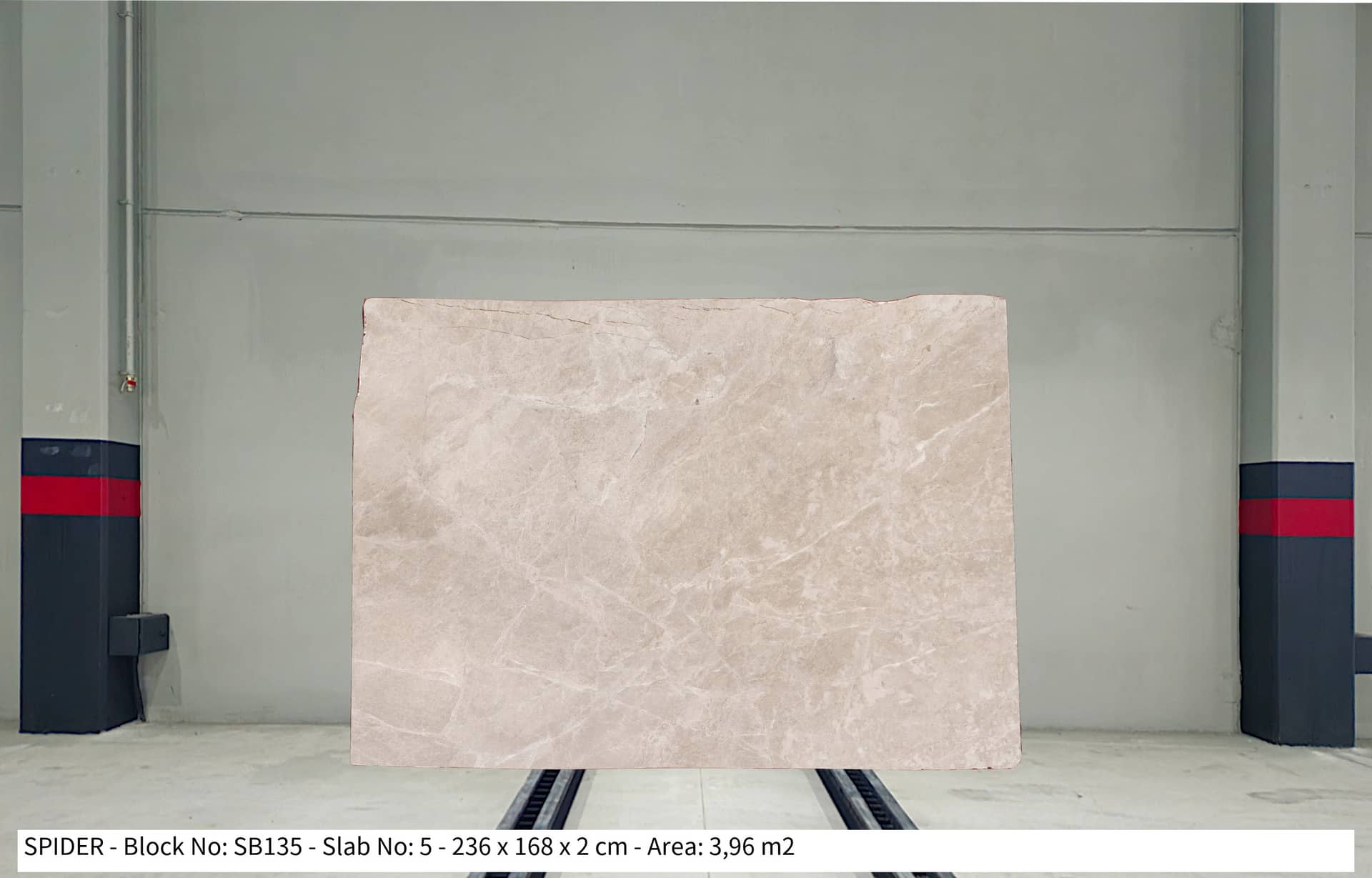SPİDER Polished marble slab