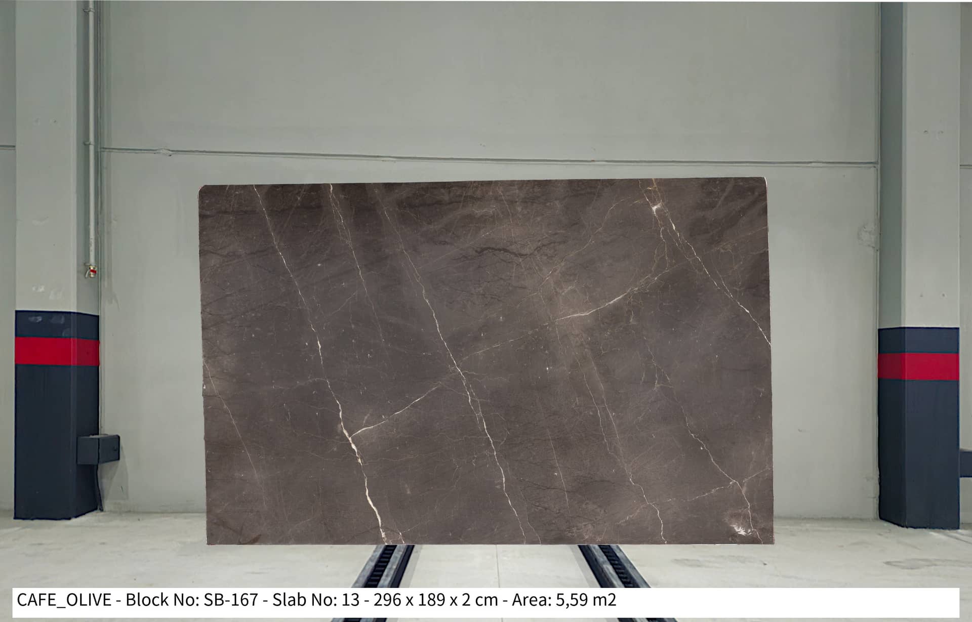 CAFE OLIVE Polished marble slab