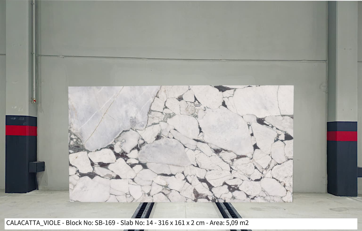 CALACATTA VIOLA Honed marble slab