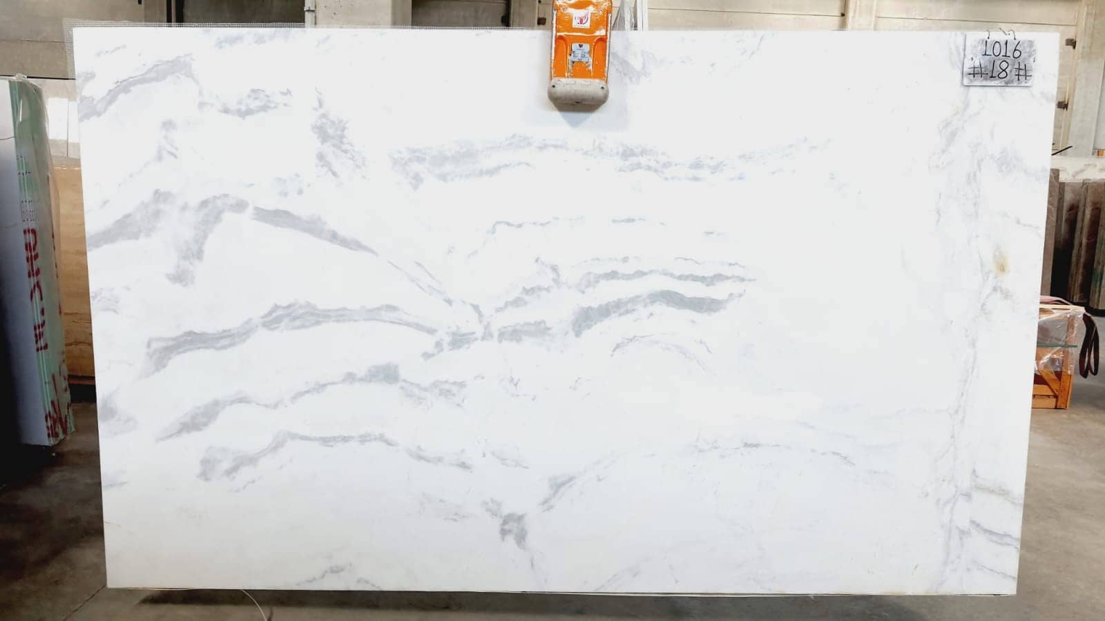 CALACATTA DOLOMITE 1016 Honed marble slab