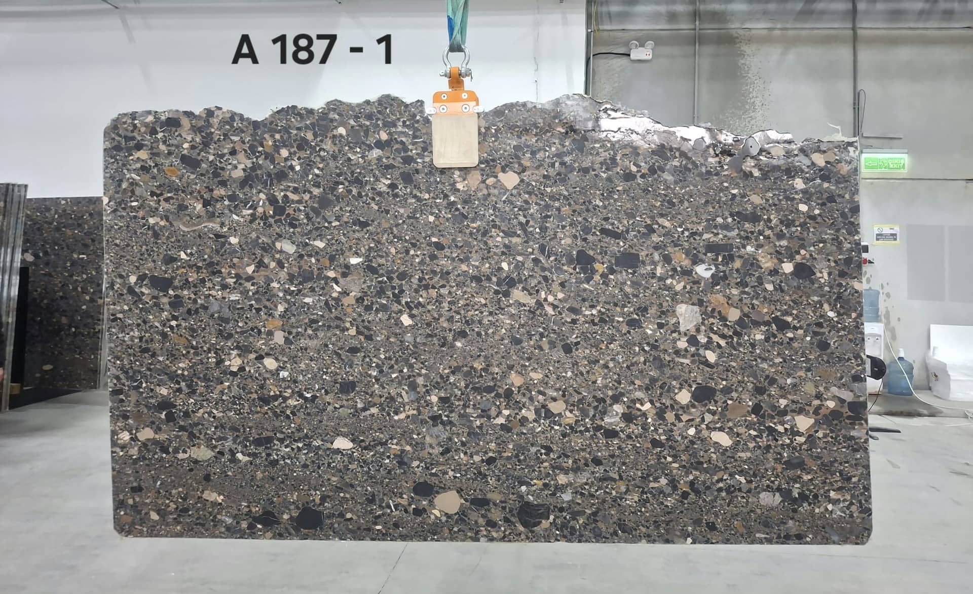 TERRAZO HONED A187 Honed marble slab in Multicolor