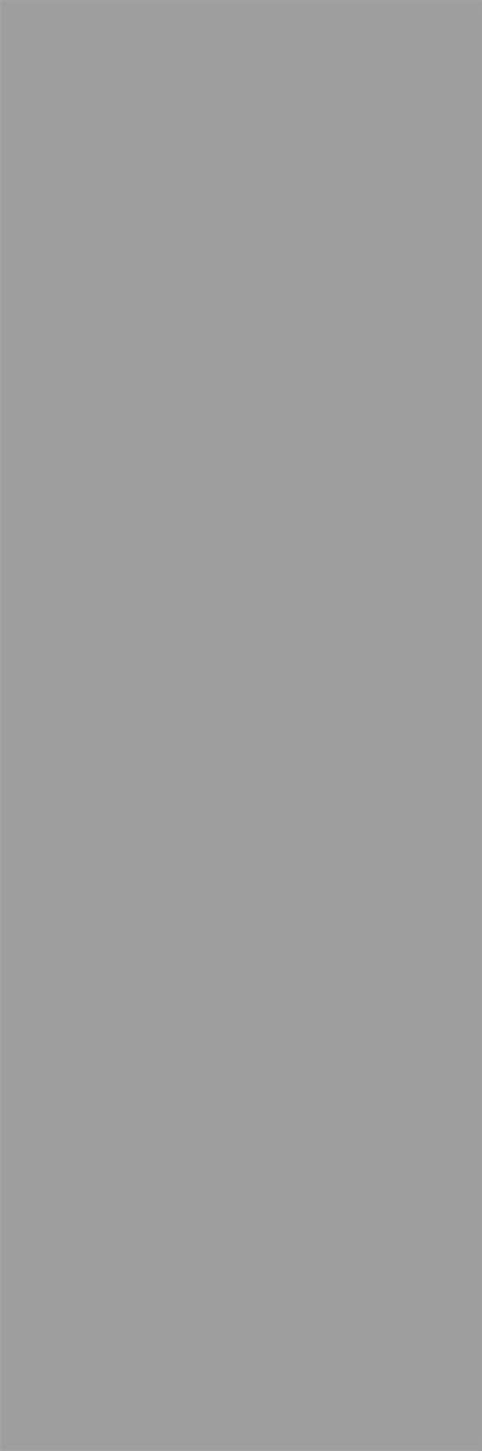 Color 2.0 Taş Gri 10×30 ceramic_slab slab in Taş Gri